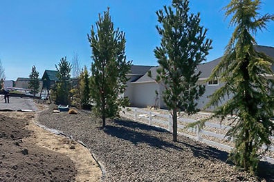 Hardscape landscaping rock beds by Palominos Landscaping of Caldwell Idaho